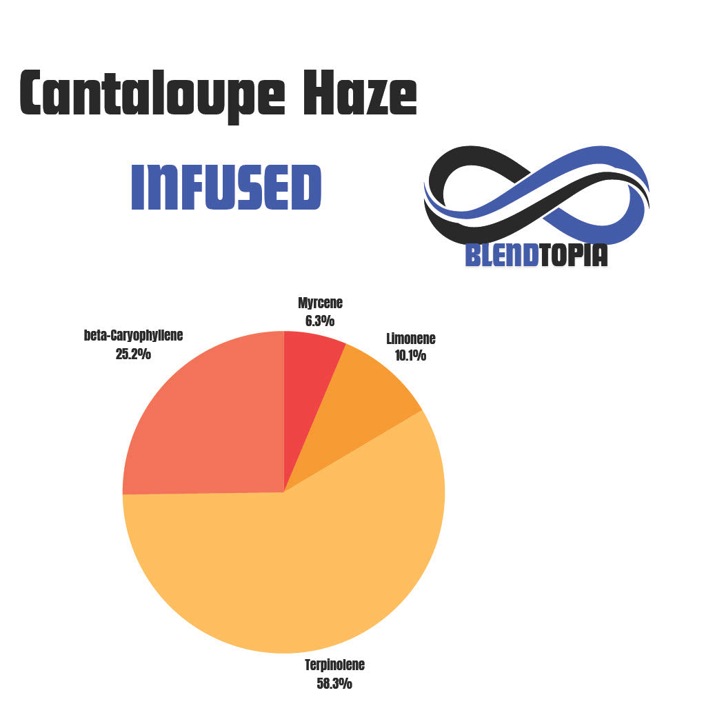 Cantaloupe Haze terpene breakdown chart