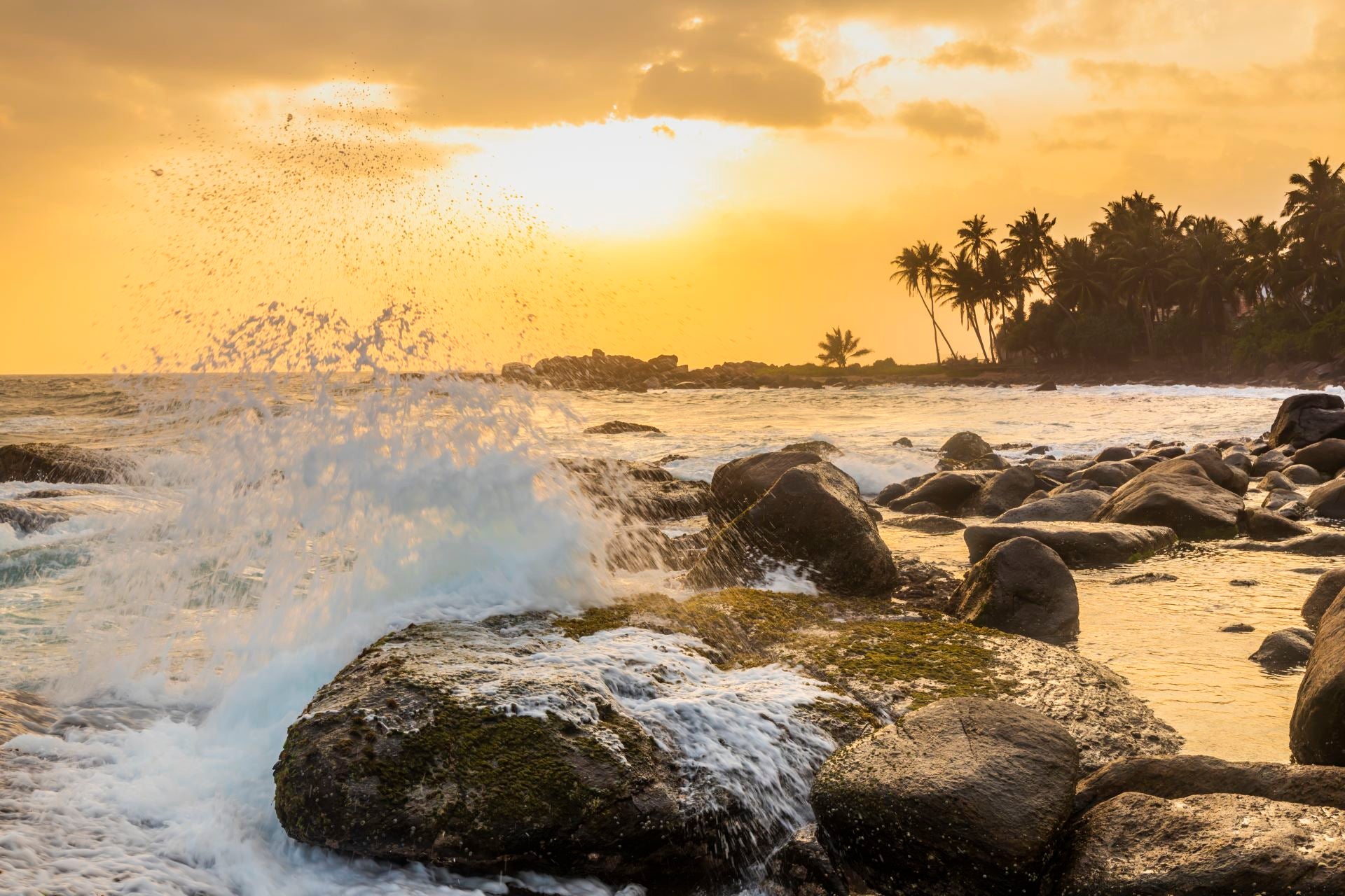 Ocean waves crashing on rocks at sunset